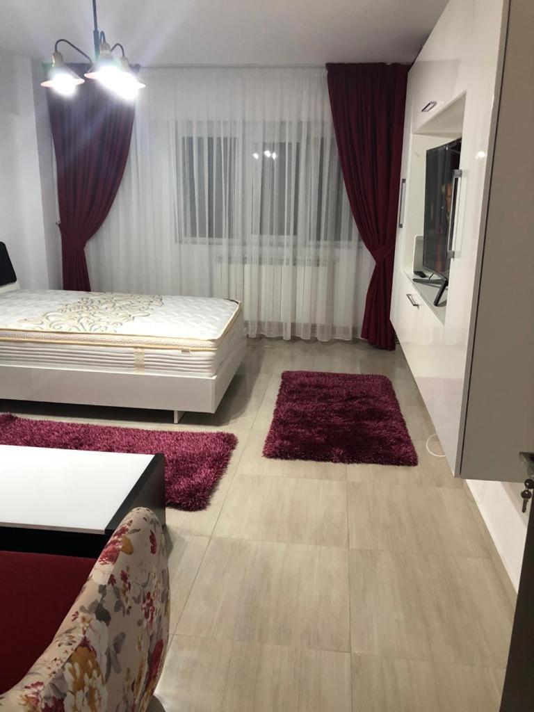 Ana Studio Apartment 加拉茨 外观 照片