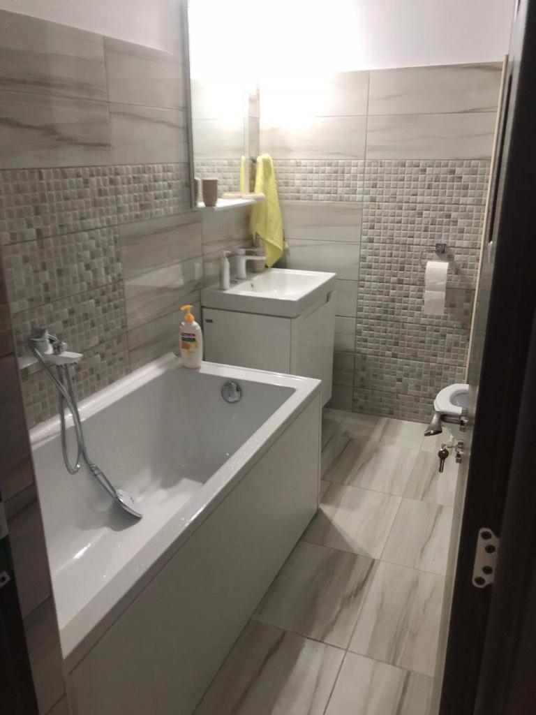 Ana Studio Apartment 加拉茨 外观 照片